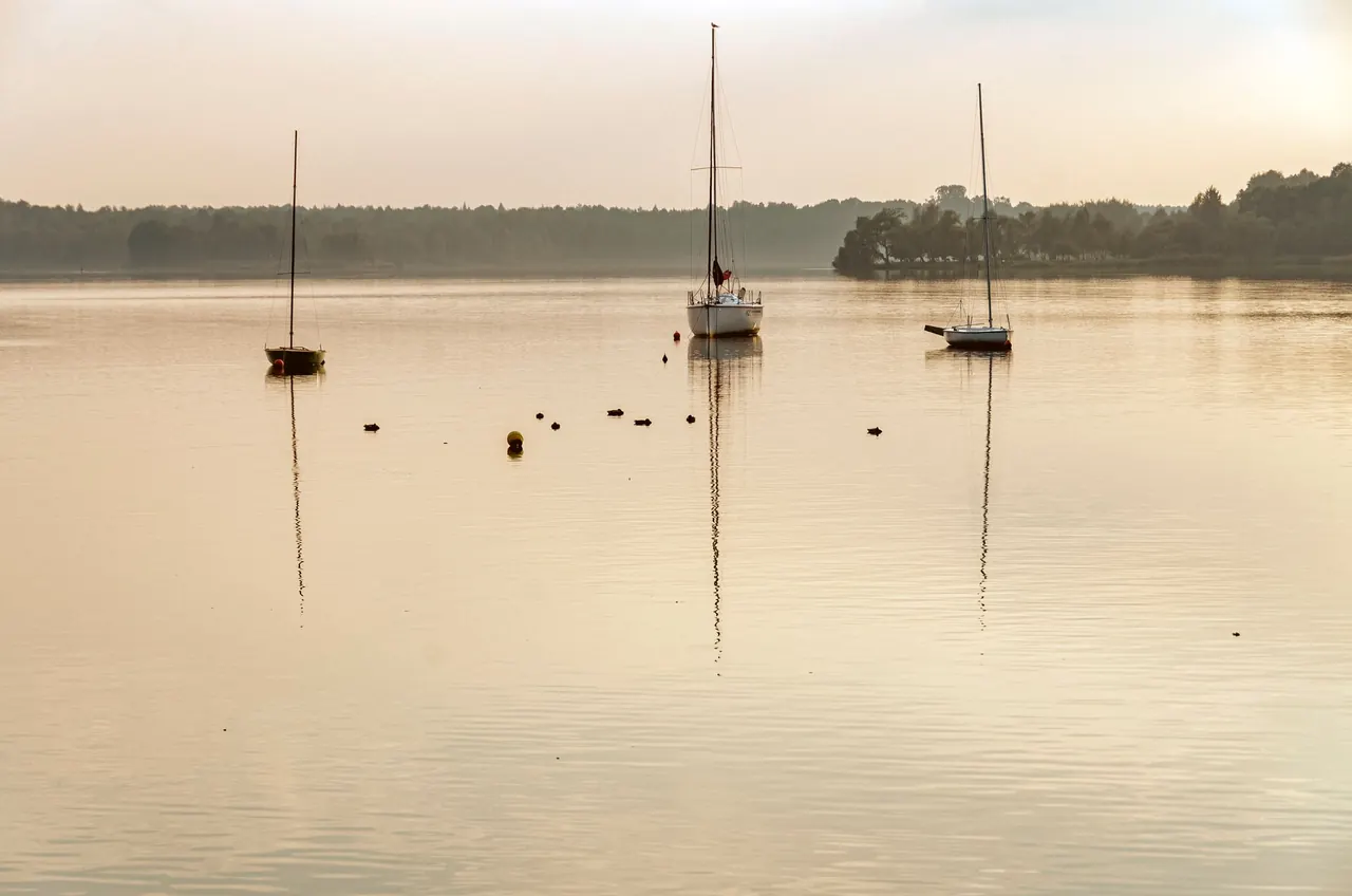 A still lake glowing softly in golden morning light