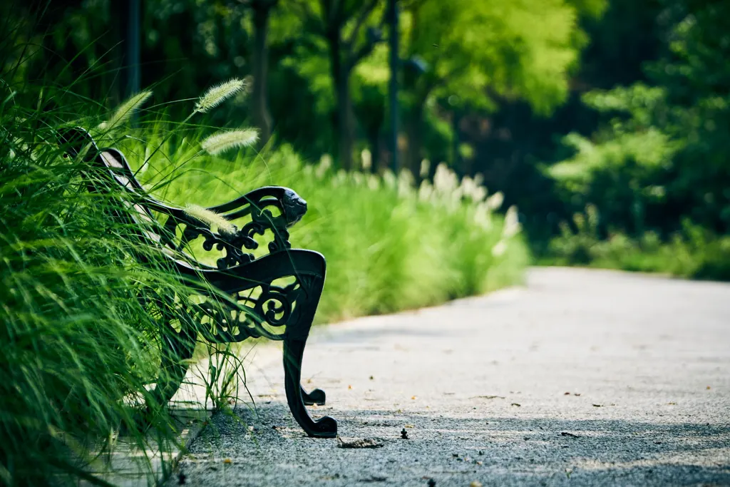 A garden bench beside a quiet leafy path