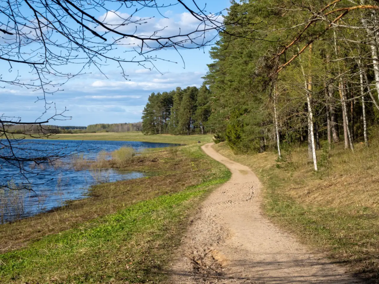 A winding path through trees beside a calm lake