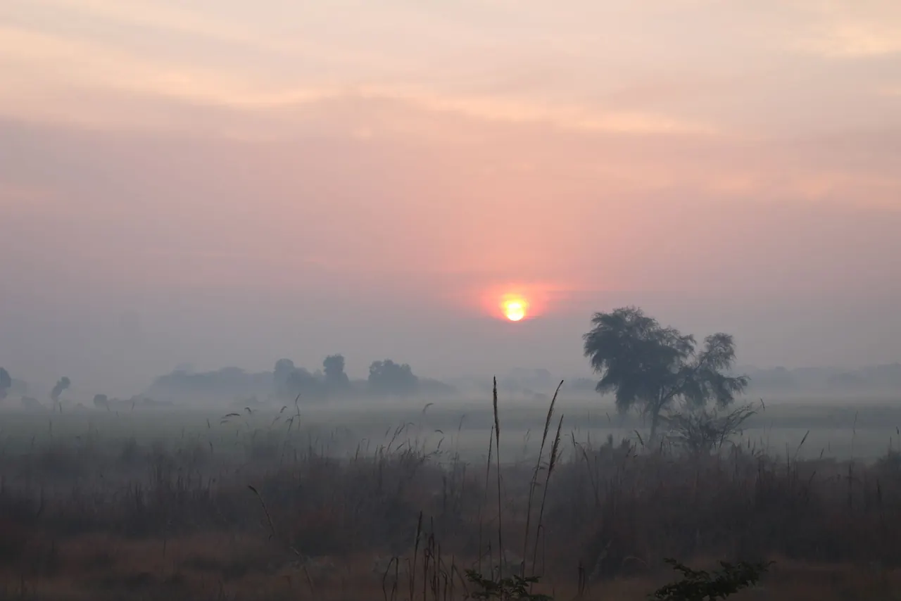 Misty farm fields at sunrise in the countryside